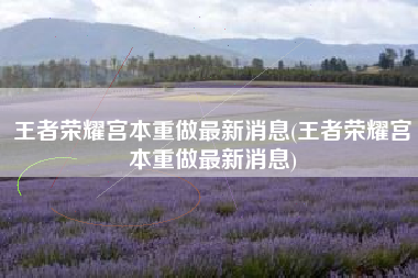 王者荣耀宫本重做最新消息(王者荣耀宫本重做最新消息)