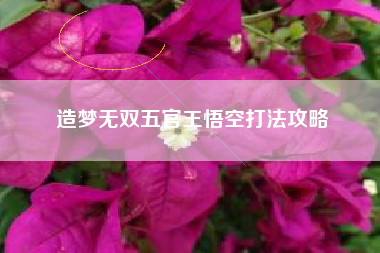 造梦无双五官王悟空打法攻略
