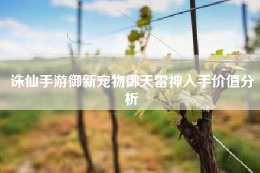 诛仙手游御新宠物御天雷神入手价值分析