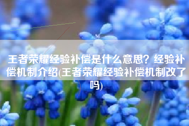 王者荣耀经验补偿是什么意思？经验补偿机制介绍(王者荣耀经验补偿机制改了吗)