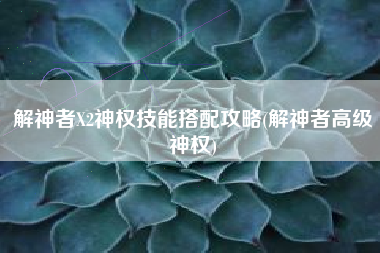 解神者X2神权技能搭配攻略(解神者高级神权)
