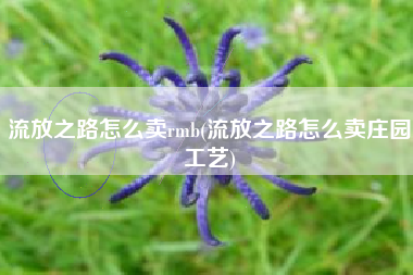 流放之路怎么卖rmb(流放之路怎么卖庄园工艺)