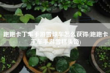 跑跑卡丁车手游雪球车怎么获得(跑跑卡丁车手游雪糕头饰)