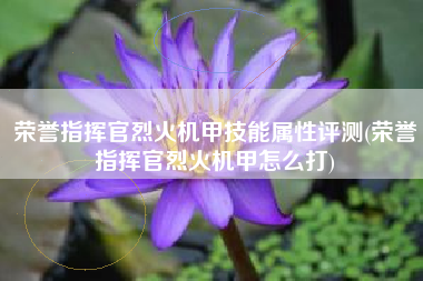荣誉指挥官烈火机甲技能属性评测(荣誉指挥官烈火机甲怎么打)