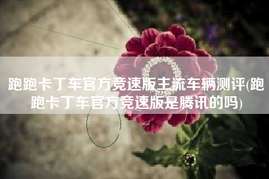 跑跑卡丁车官方竞速版主流车辆测评(跑跑卡丁车官方竞速版是腾讯的吗)
