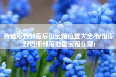 狩猎原野部落后山宝箱位置大全(狩猎原野玛斯部落地图宝箱在哪)