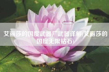 艾丽莎的国度武器厂武器详解(艾丽莎的国度无限钻石)