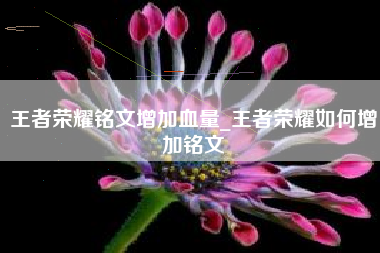 王者荣耀铭文增加血量_王者荣耀如何增加铭文