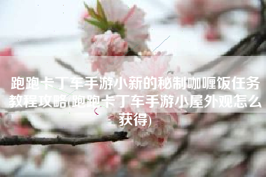 跑跑卡丁车手游小新的秘制咖喱饭任务教程攻略(跑跑卡丁车手游小屋外观怎么获得)