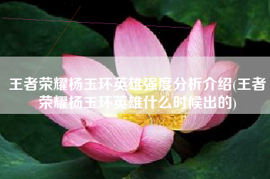 王者荣耀杨玉环英雄强度分析介绍(王者荣耀杨玉环英雄什么时候出的)