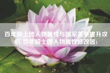 百年骑士团人物属性与国家关系提升攻略(百年骑士团人物属性修改器)