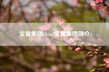 宝盈集团bbin(宝盈集团简介)