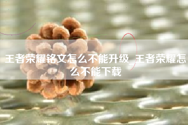 王者荣耀铭文怎么不能升级_王者荣耀怎么不能下载