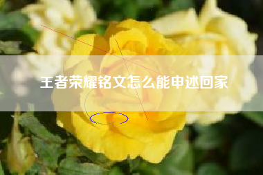 王者荣耀铭文怎么能申述回家