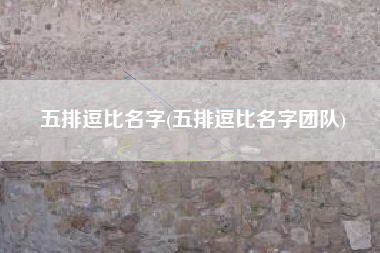 五排逗比名字(五排逗比名字团队)
