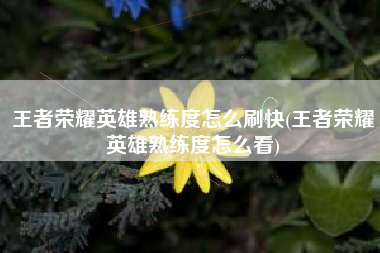 王者荣耀英雄熟练度怎么刷快(王者荣耀英雄熟练度怎么看)