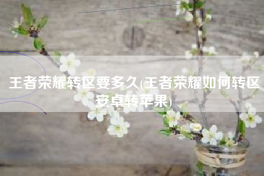 王者荣耀转区要多久(王者荣耀如何转区安卓转苹果)