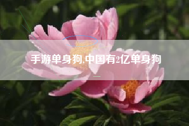 手游单身狗,中国有2亿单身狗