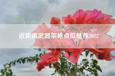 近距离武器架枪点位推荐2022