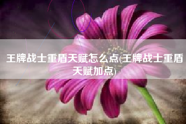 王牌战士重盾天赋怎么点(王牌战士重盾天赋加点)