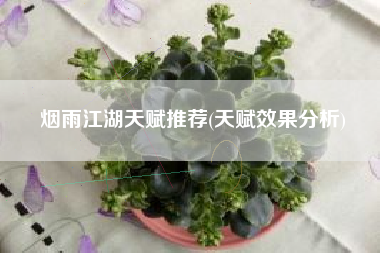 烟雨江湖天赋推荐(天赋效果分析)