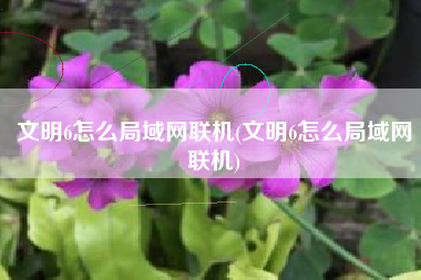 文明6怎么局域网联机(文明6怎么局域网联机)