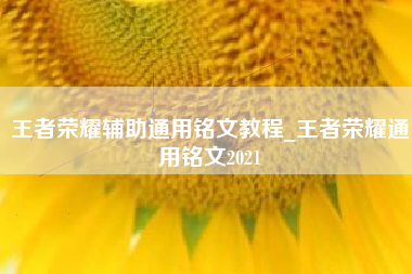 王者荣耀辅助通用铭文教程_王者荣耀通用铭文2021