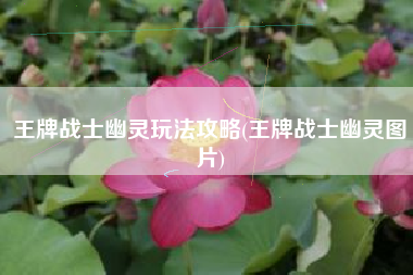 王牌战士幽灵玩法攻略(王牌战士幽灵图片) 王牌战士幽灵玩法攻略(王牌战士幽灵图片)