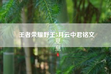 王者荣耀野王5月云中君铭文