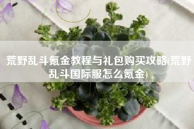 荒野乱斗氪金教程与礼包购买攻略(荒野乱斗国际服怎么氪金)