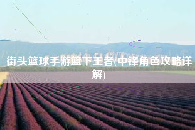 街头篮球手游篮下王者(中锋角色攻略详解)