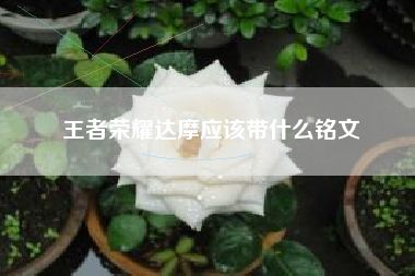王者荣耀达摩应该带什么铭文