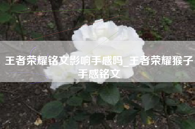 王者荣耀铭文影响手感吗_王者荣耀猴子手感铭文