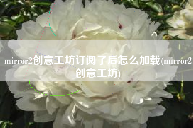 mirror2创意工坊订阅了后怎么加载(mirror2创意工坊)