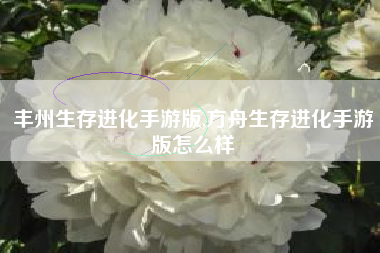 丰州生存进化手游版,方舟生存进化手游版怎么样