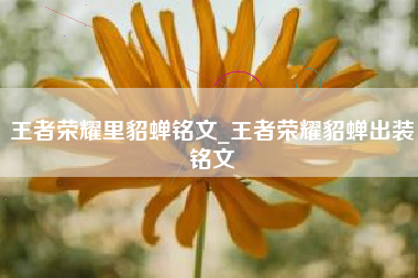 王者荣耀里貂蝉铭文_王者荣耀貂蝉出装铭文