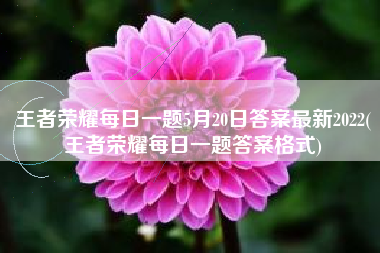 王者荣耀每日一题5月20日答案最新2022(王者荣耀每日一题答案格式)