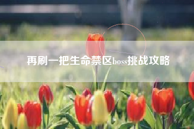 再刷一把生命禁区boss挑战攻略
