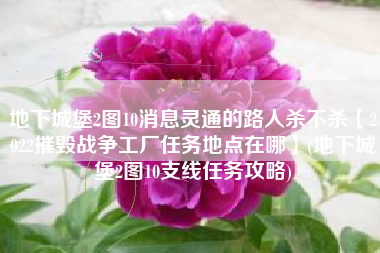 地下城堡2图10消息灵通的路人杀不杀【2022摧毁战争工厂任务地点在哪】(地下城堡2图10支线任务攻略)