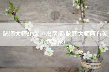 脑洞大师218关逃出房间(脑洞大师所有关卡答案)