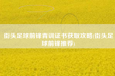 街头足球前锋青训证书获取攻略(街头足球前锋推荐)
