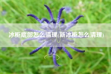 冰柜底部怎么清理(新冰柜怎么清理)