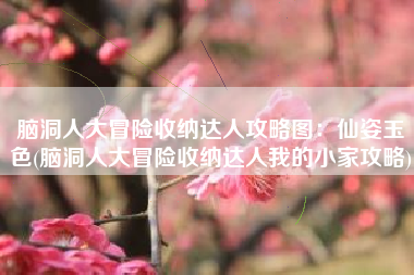 脑洞人大冒险收纳达人攻略图：仙姿玉色(脑洞人大冒险收纳达人我的小家攻略)