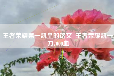王者荣耀第一凯皇的铭文_王者荣耀凯一刀7000血