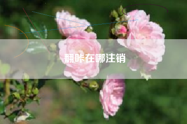 翻咔在哪注销