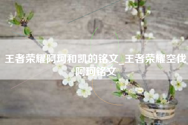 王者荣耀阿珂和凯的铭文_王者荣耀空伐阿珂铭文