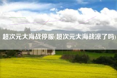 超次元大海战停服(超次元大海战凉了吗)