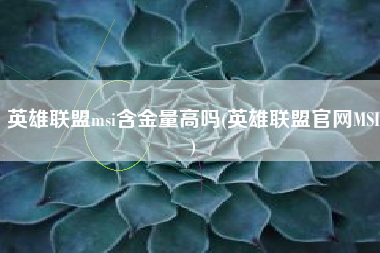 英雄联盟msi含金量高吗(英雄联盟官网MSI)