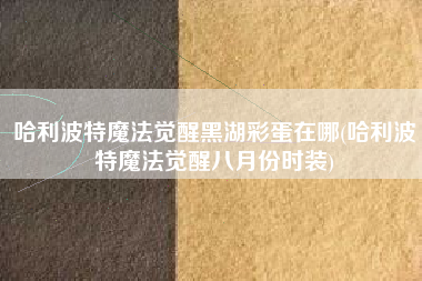 哈利波特魔法觉醒黑湖彩蛋在哪(哈利波特魔法觉醒八月份时装)