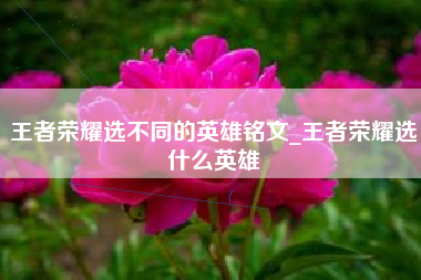 王者荣耀选不同的英雄铭文_王者荣耀选什么英雄